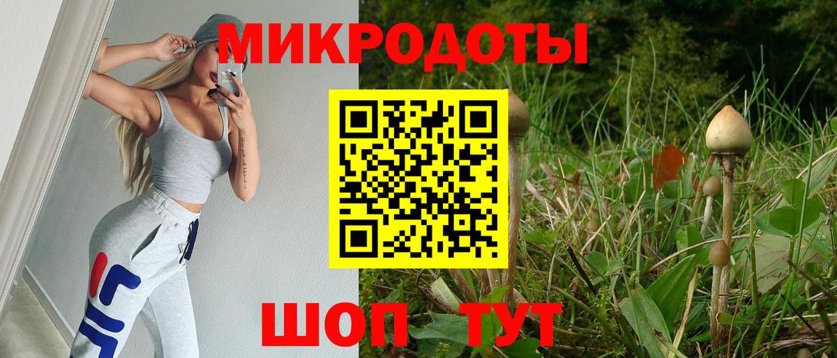 Псилоцибиновые грибы Psilocybine cubensis  как найти наркотики  Унеча  Псилоцибиновые грибы MAGIC MUSHROOMS  Вход с VPN 