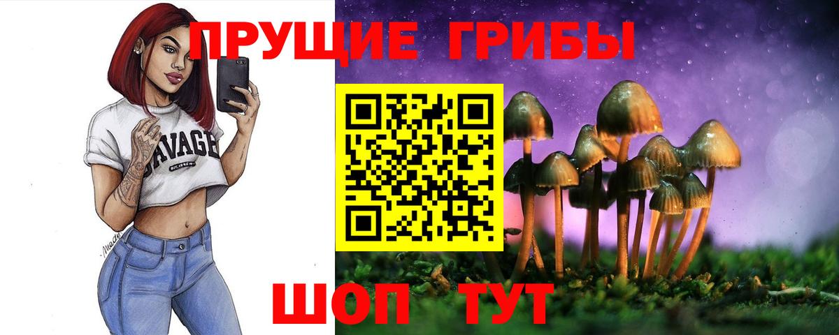Галлюциногенные грибы мухоморы Унеча