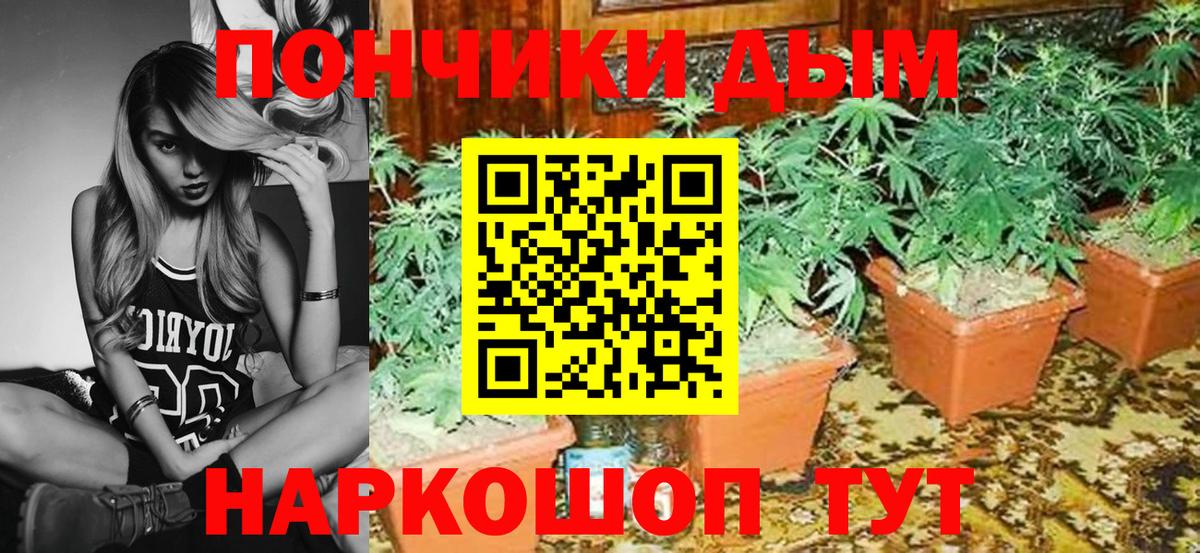 Унеча  Марихуана Bruce Banner  Каннабис гибрид  Конопля Ganja  Каннабис ГИДРОПОН  Вход с VPN 